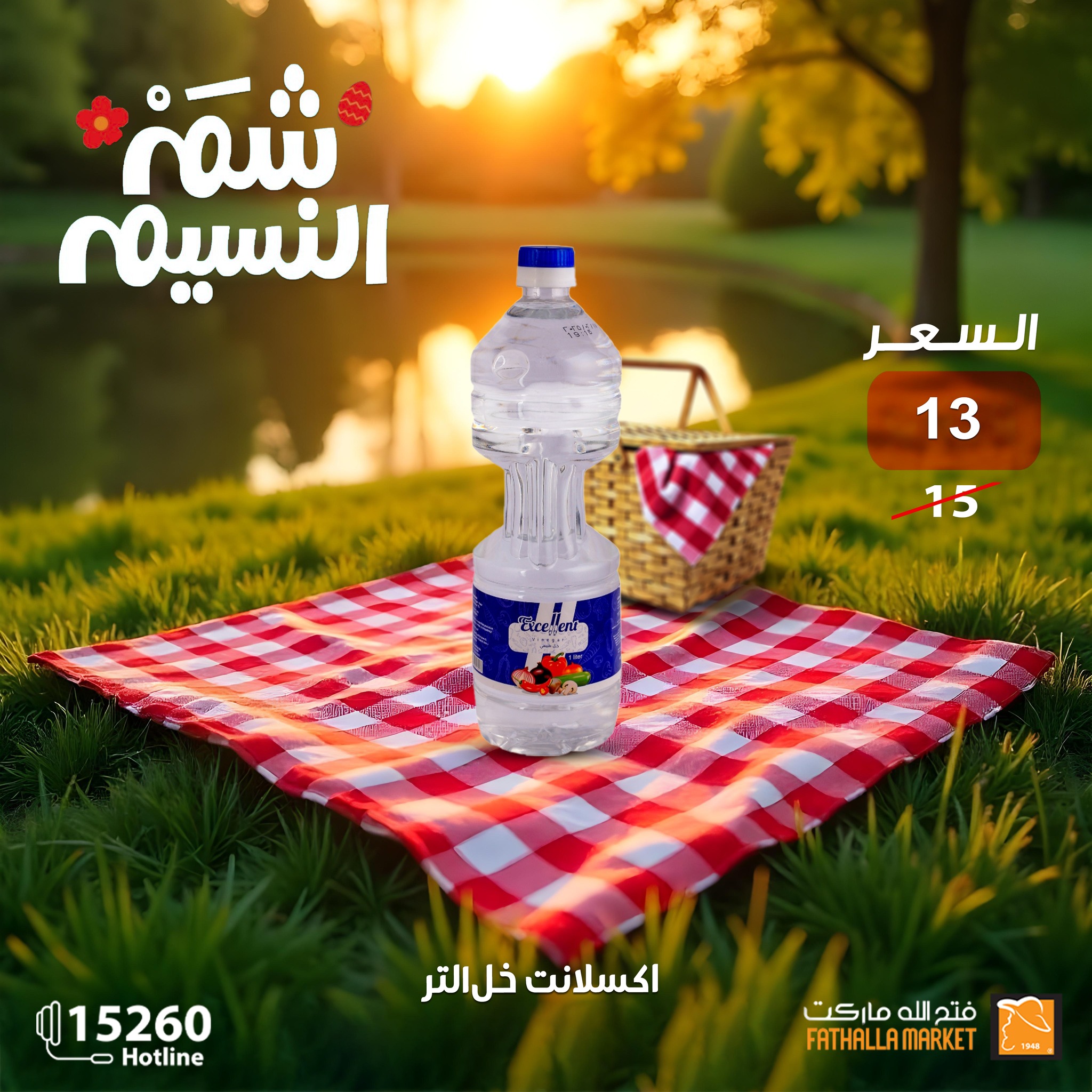 fathalla offers from 19apr to 16apr 2025 عروض فتح الله من 19 إبريل حتى 16 إبريل 2025 صفحة رقم 15